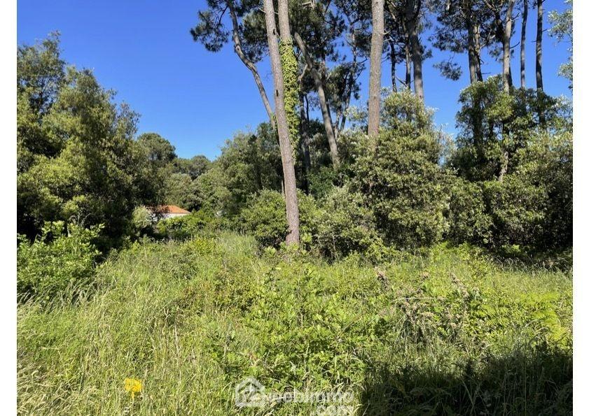 Photo Terrain à bâtir - 1182m² - Jard-sur-Mer image 2/3