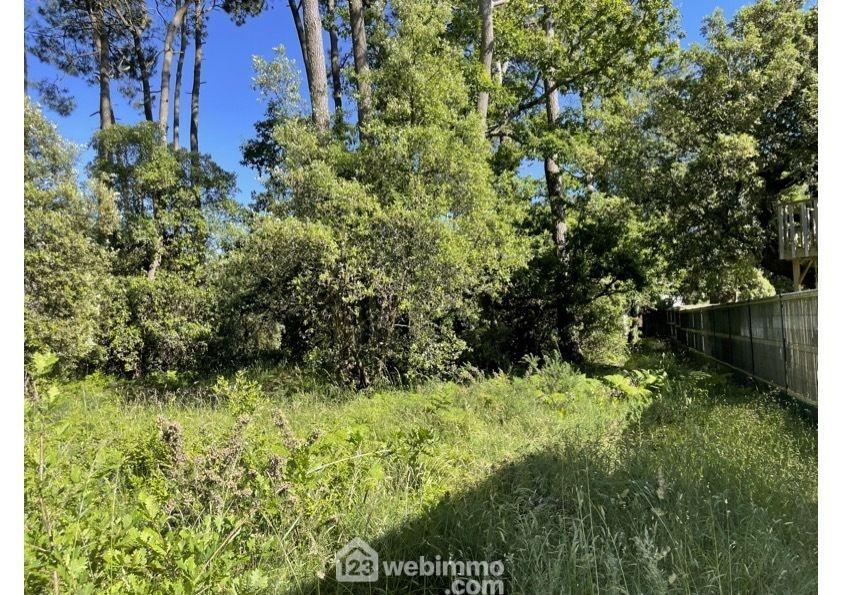 Photo Terrain à bâtir - 1182m² - Jard-sur-Mer image 3/3