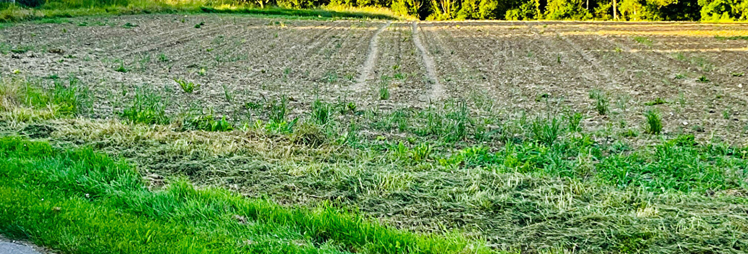 Terrain  950 m² à vendre à Valravillon (89113)