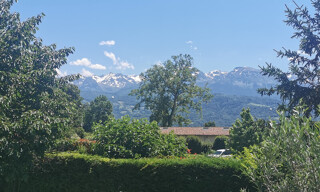 Photo N° 5