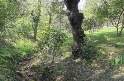 terrain  pièces 90000 m2 à vendre à La Garde-Freinet (83680)