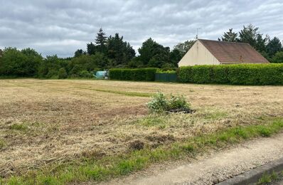 vente terrain 66 000 € à proximité de Ondreville-sur-Essonne (45390)