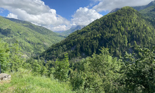 Photo N° 3