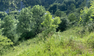 Photo N° 4