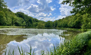 Terrain  33171 m² à vendre à Lomont (70200)