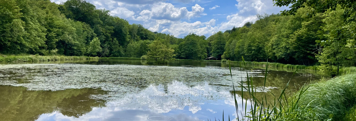 Terrain  33171 m² à vendre à Lomont (70200)