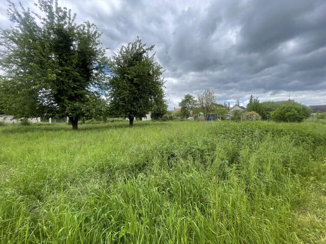 BEAU TERRAIN DANS COMMUNE RECHERCHEE AU PIED DE SENS — photo du bien