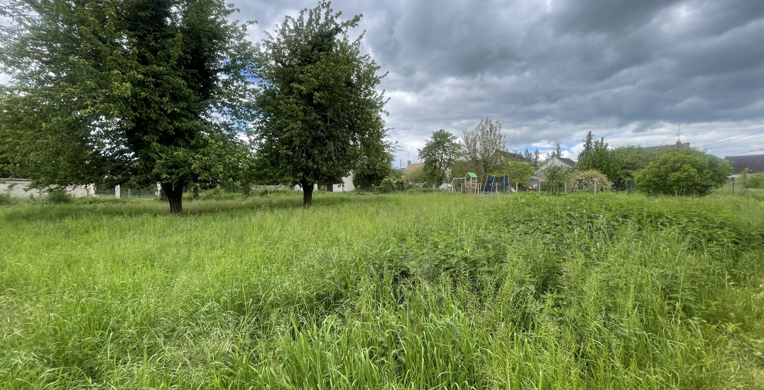 BEAU TERRAIN DANS COMMUNE RECHERCHEE AU PIED DE SENS — photo 1