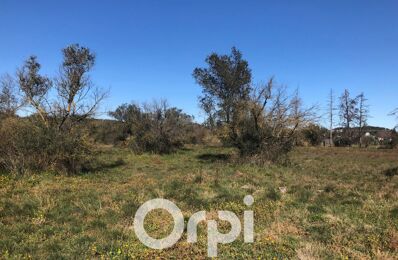 terrain  pièces 5800 m2 à vendre à Beaucaire (30300)