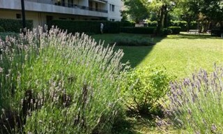 Photo N° 8