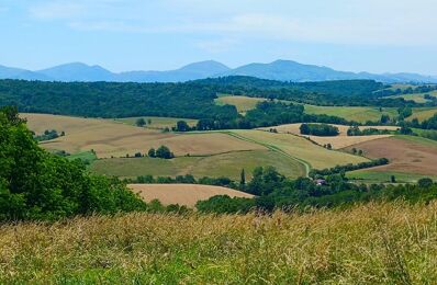 vente terrain 550 000 € à proximité de Saint-Lon-les-Mines (40300)