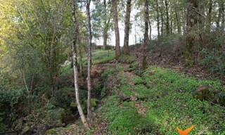Photo N° 4