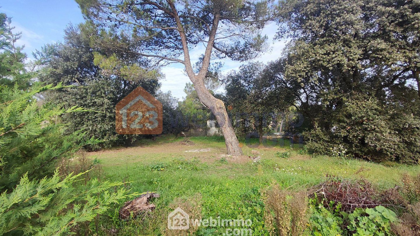 Terrain à bâtir - 1534m² - Lambesc