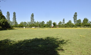Photo N° 5
