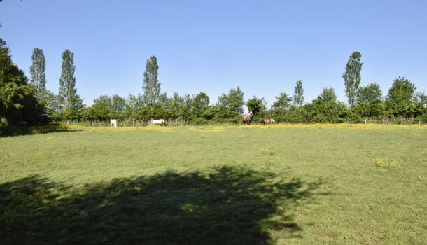 Villa / Maison 5 pièces  à vendre Ouroux-sur-Saône 71370