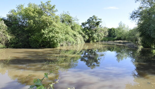 Villa / Maison 5 pièces  à vendre Ouroux-sur-Saône 71370