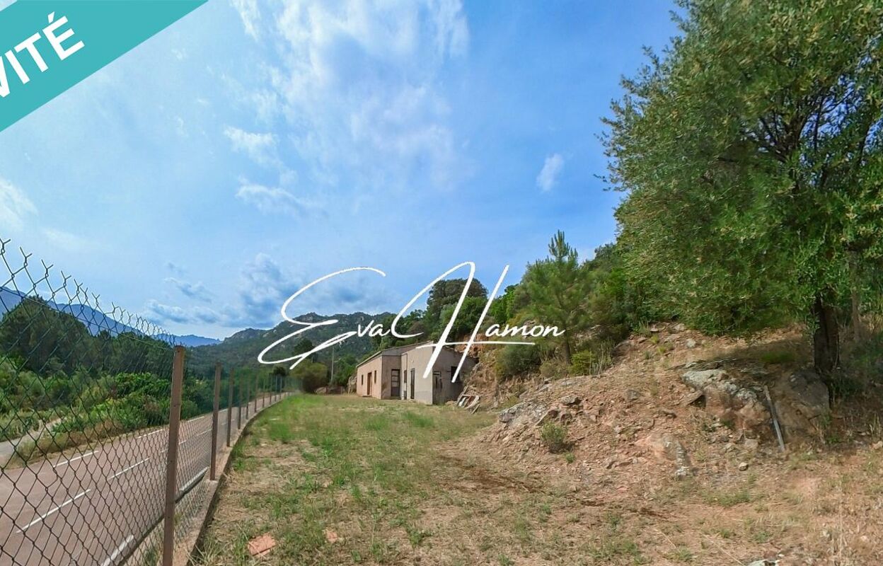 commerce 2 pièces 140 m2 à vendre à Sainte-Lucie de Porto-Vecchio (20144)