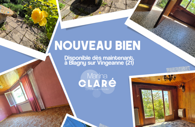 vente maison 105 000 € à proximité de Blagny-sur-Vingeanne (21310)