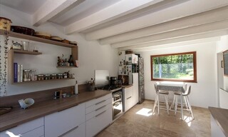 Photo N° 6