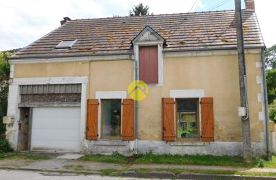 vente maison 72 500 € à proximité de Mennetou-sur-Cher (41320)