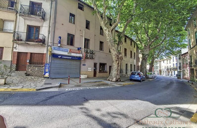 vente immeuble 347 000 € à proximité de Saint-Féliu-d'Avall (66170)