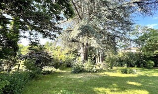 Photo N° 5