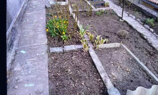 Photo N° 2