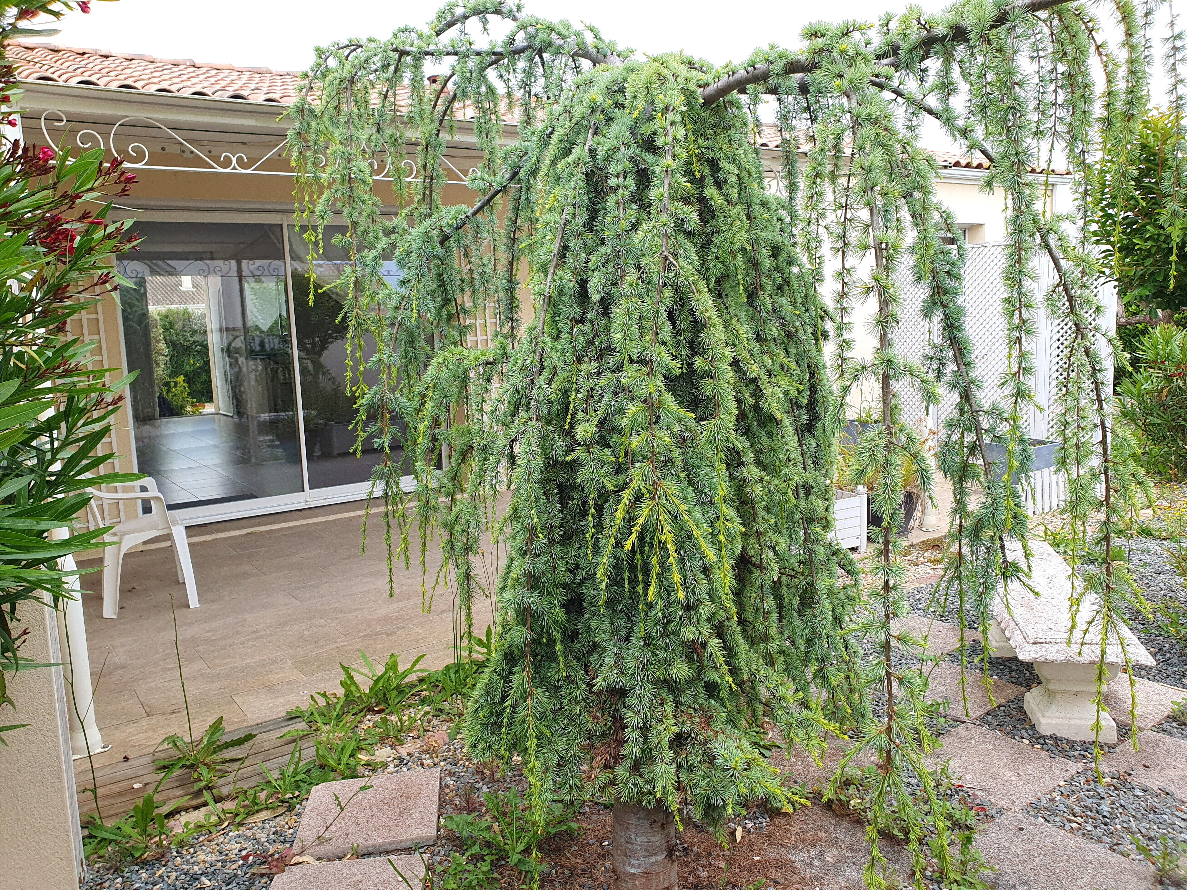 Villa / Maison  T5 à vendre Saintes 17100