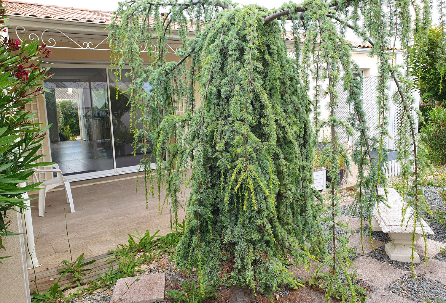 Vente maison 5 pièces 118 m² Saintes (17100) — photo 1