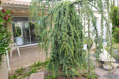 Maison 5 pièces 354900 €