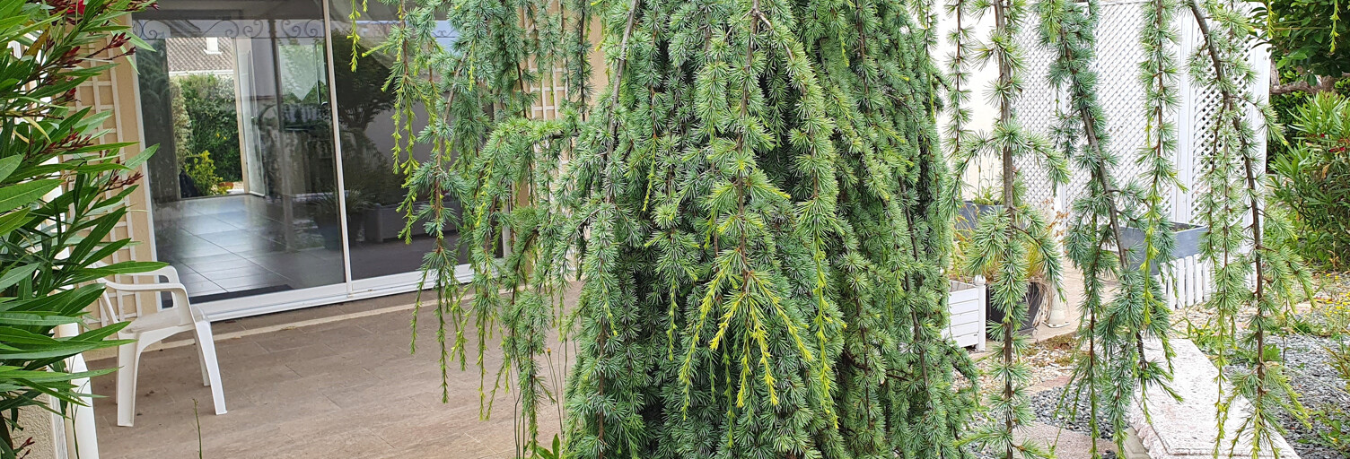 Maison 5 Pièces 118 m² à vendre à Saintes (17100)