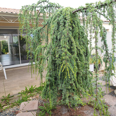 Maison 5 pièces 354900 €