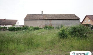 Photo N° 4