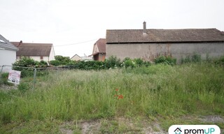 Photo N° 5