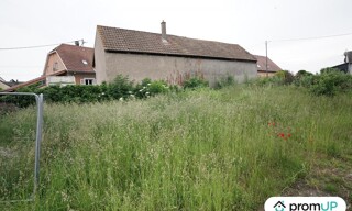 Photo N° 6