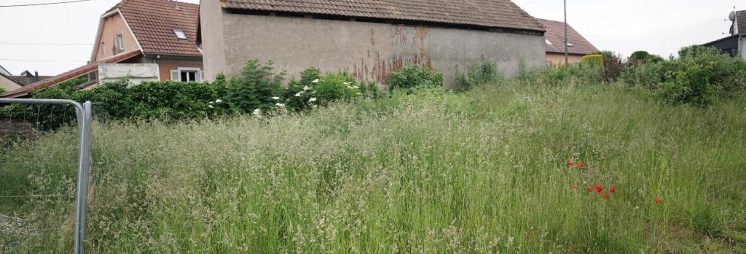 Terrain  477 m² à vendre à Hirtzfelden (68740)