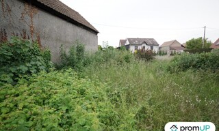 Photo N° 7