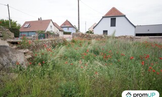 Photo N° 6