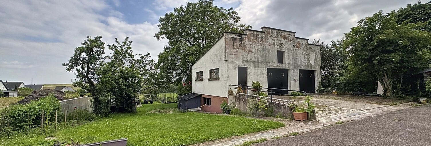 Maison  130 m² à vendre à Dauendorf (67350)