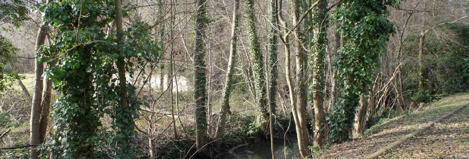 Terrain  967 m² à vendre à Valmondois (95760)