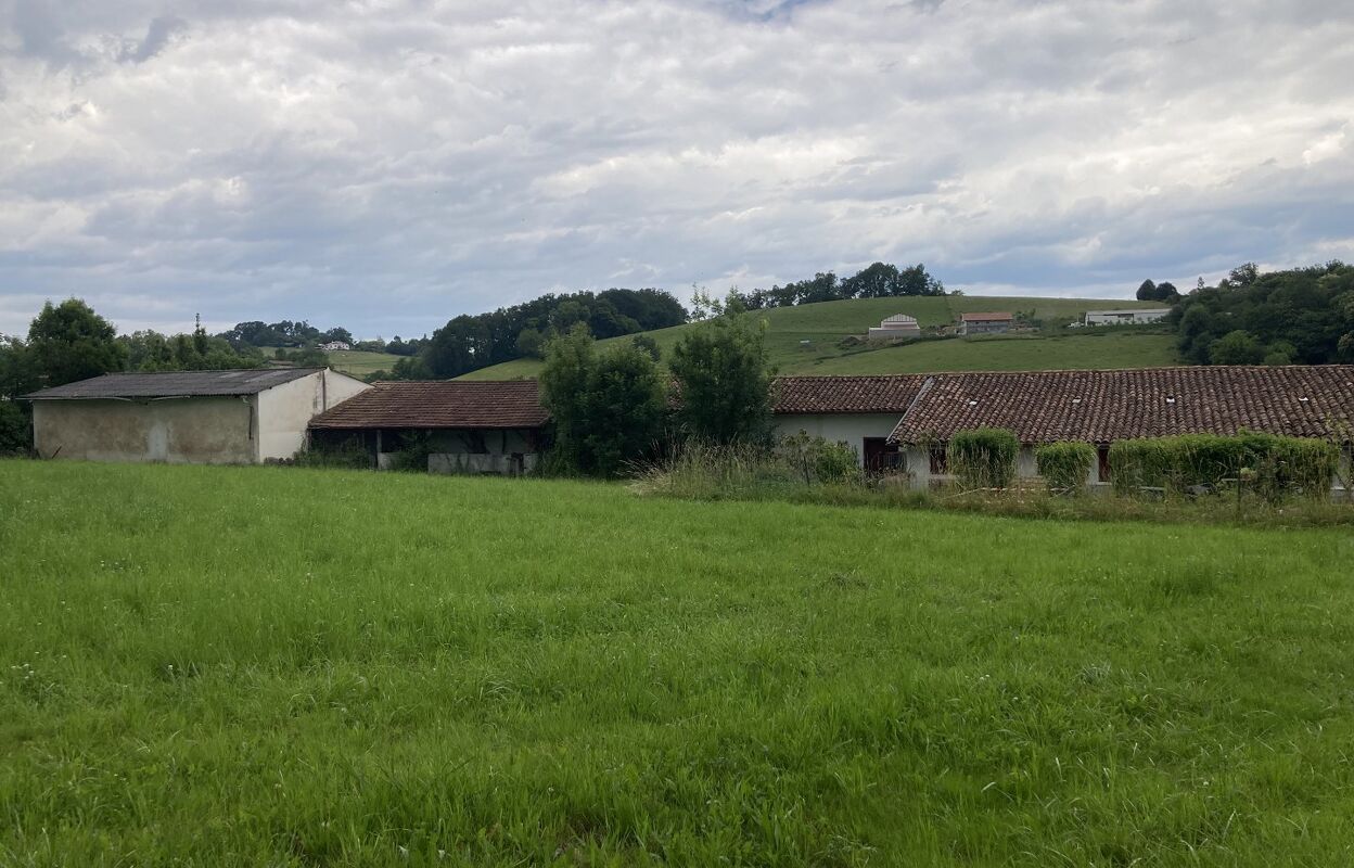 terrain  pièces 3680 m2 à vendre à Souraïde (64250)