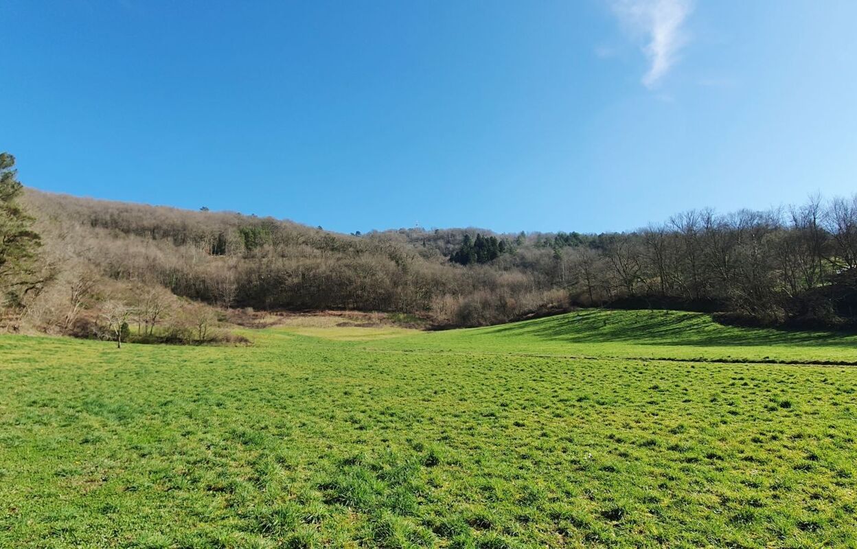 terrain  pièces 6109 m2 à vendre à Monceaux-sur-Dordogne (19400)