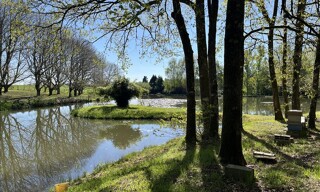 Maison 1 Pièce 35 m² à vendre à Saint-Yrieix-la-Perche (87500)