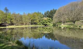 Maison 1 Pièce 35 m² à vendre à Saint-Yrieix-la-Perche (87500)