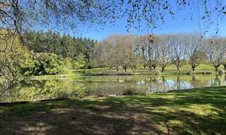 Maison 1 Pièce 35 m² à vendre à Saint-Yrieix-la-Perche (87500)