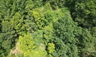 Terrain  3299 m² à vendre à Entraygues-sur-Truyère (12140)