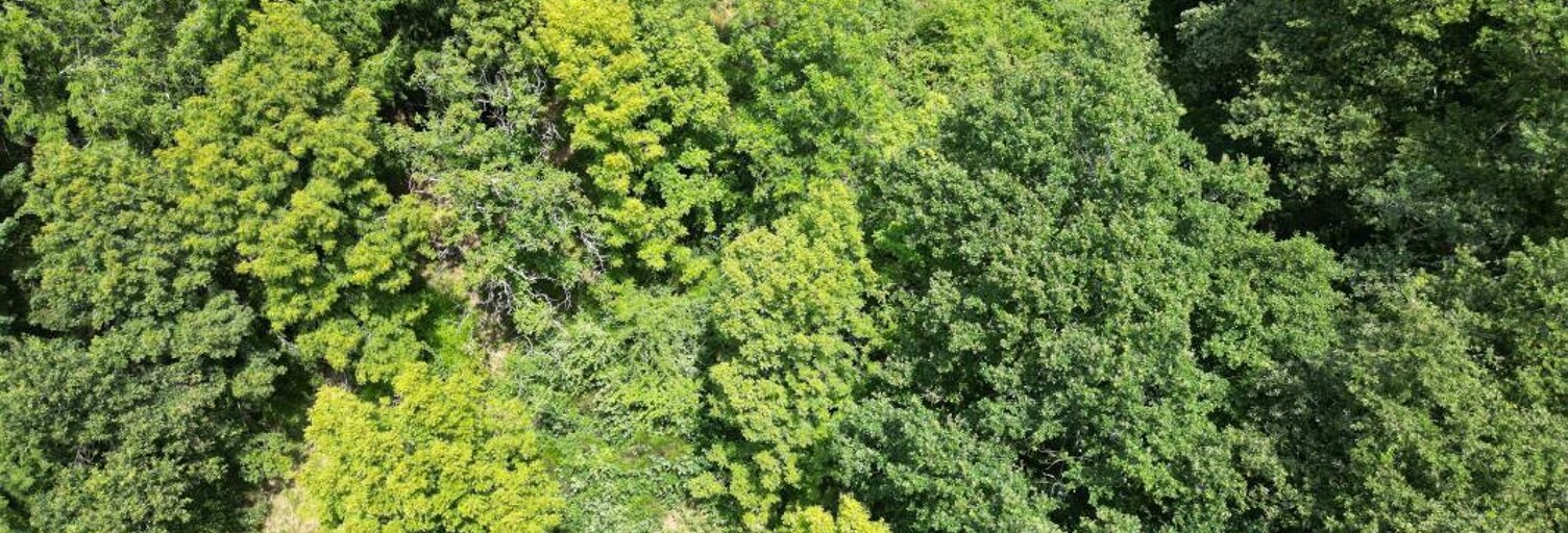 Terrain  3299 m² à vendre à Entraygues-sur-Truyère (12140)