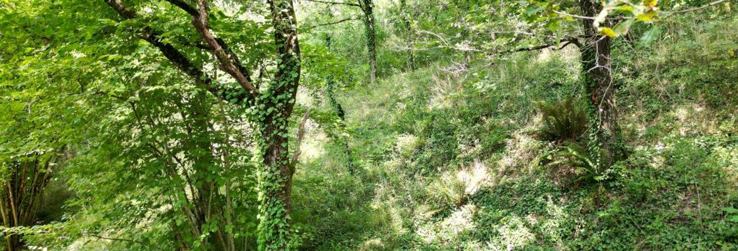 Terrain  3299 m² à vendre à Entraygues-sur-Truyère (12140)