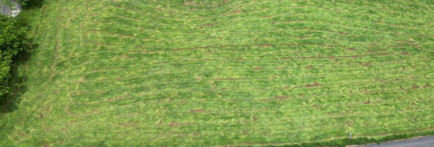 Terrain  2902 m² à vendre à Saint-Chély-d'Aubrac (12470)