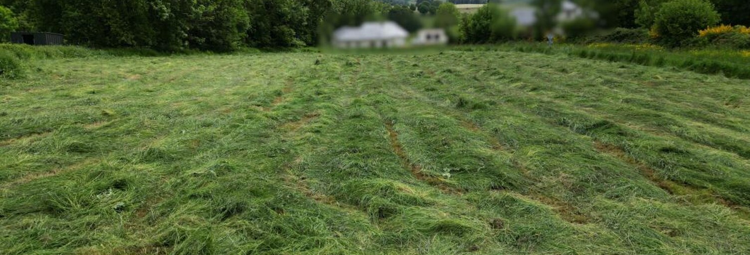 Terrain  2902 m² à vendre à Saint-Chély-d'Aubrac (12470)